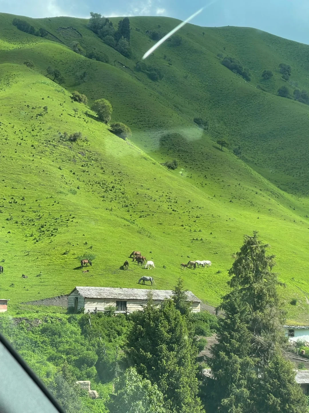 关于五一去新疆旅游的，过来人只想说...😓