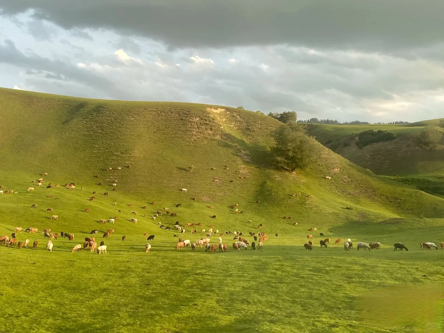 选一个好的旅行社真的很重要
