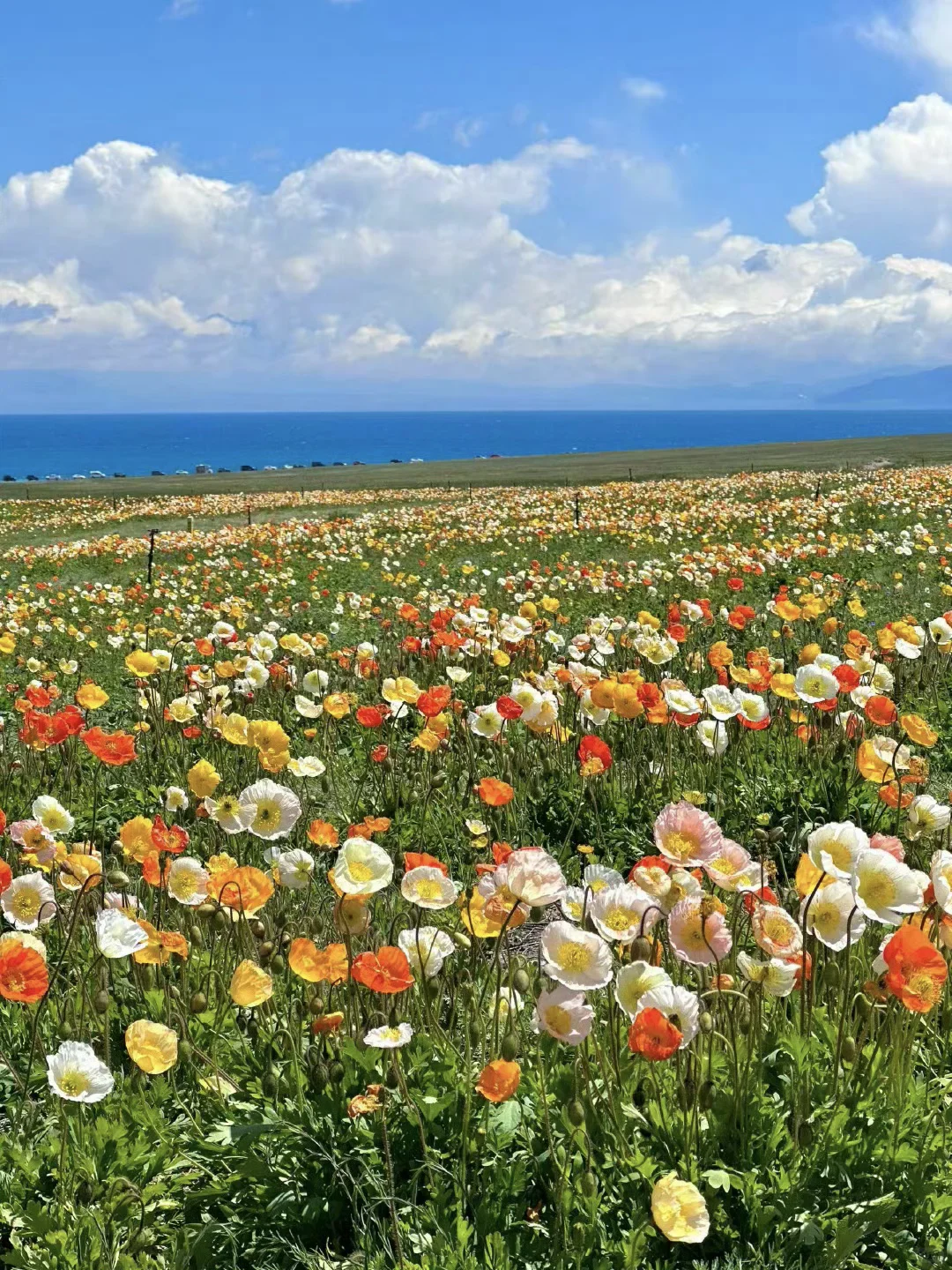 关于五一去新疆旅游的，过来人只想说...😓