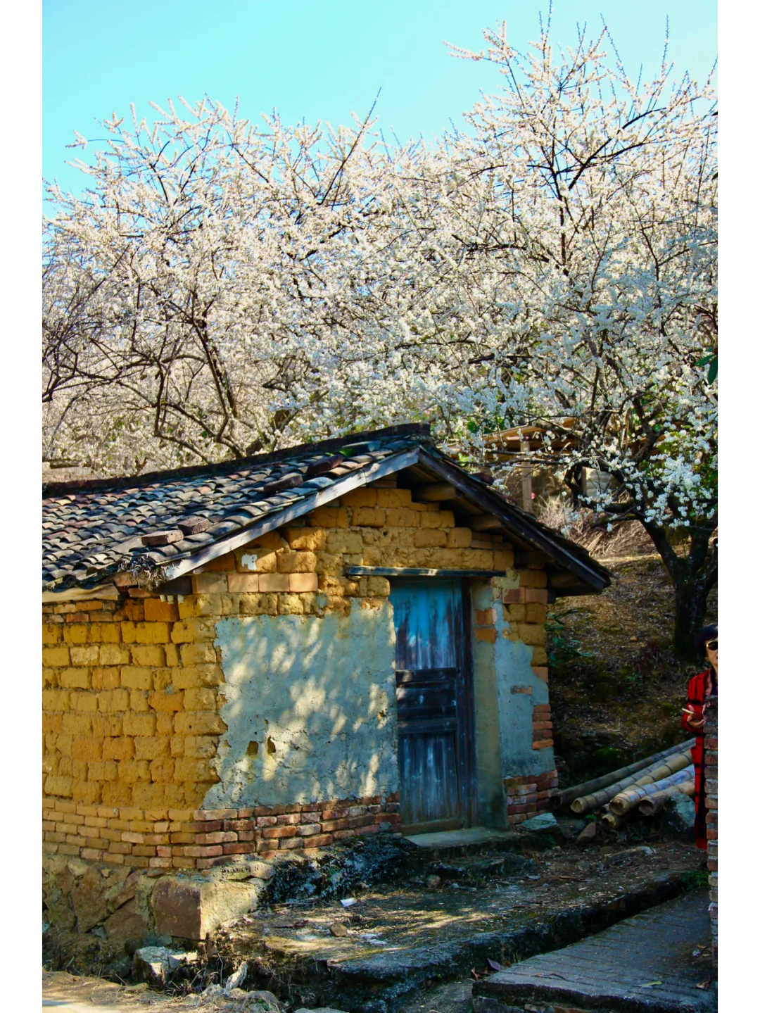 景区为什么越来越赚不到钱了？