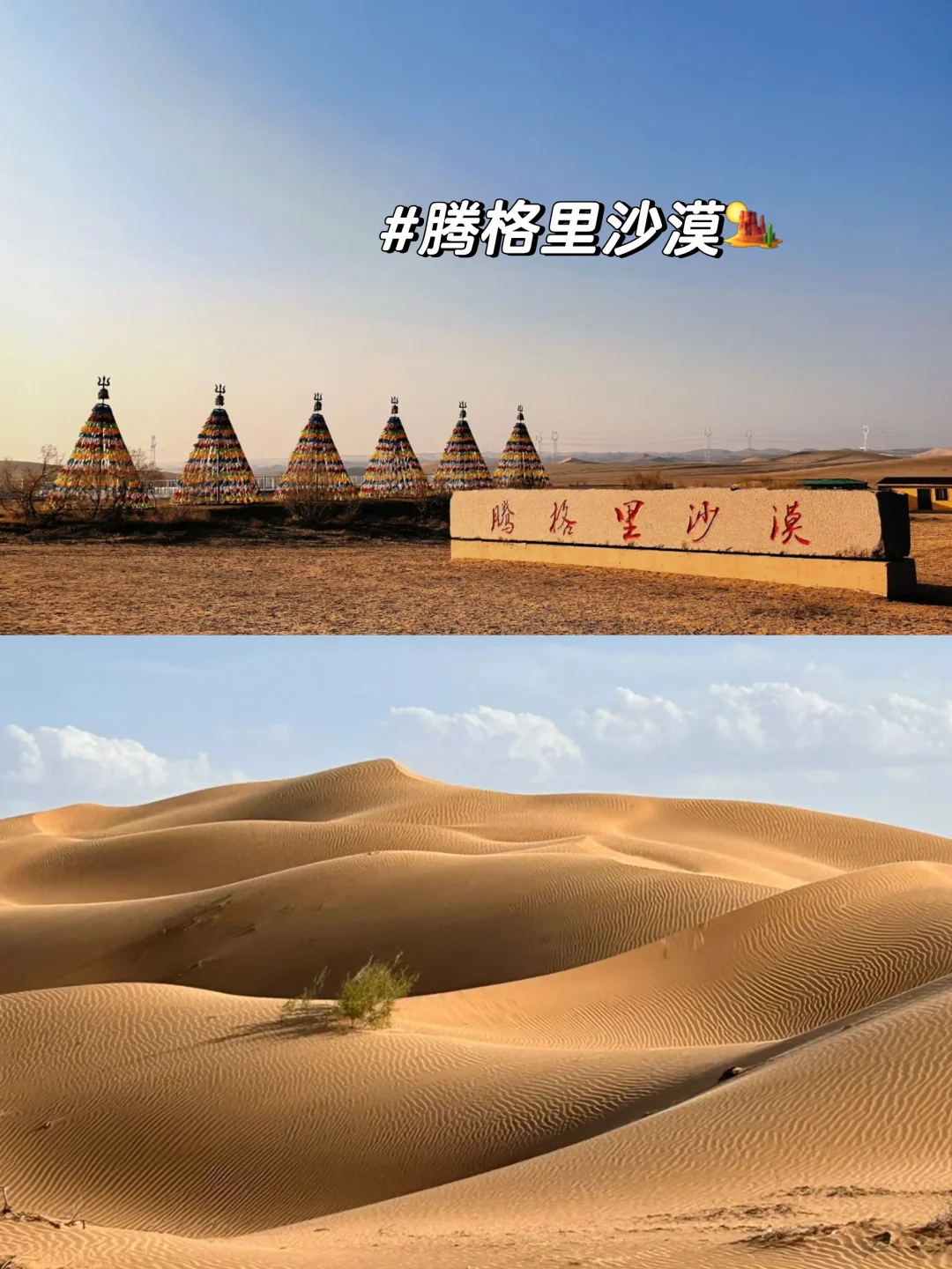 🌟银川+中卫5天4夜沙漠之旅攻略🏜️