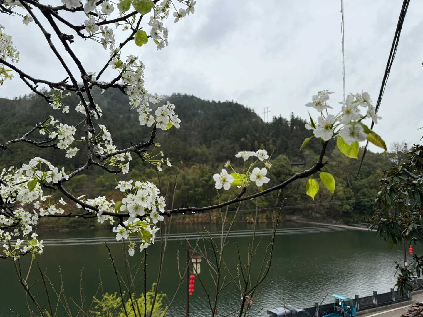 自驾婺源 景区都基本无人