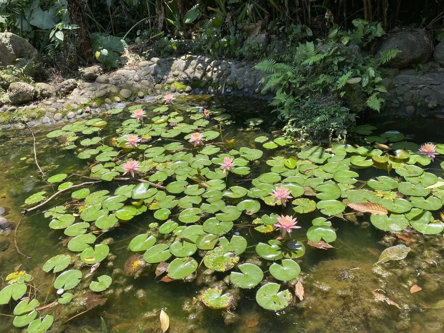 湛江湖光岩最全旅游攻略，还有免费门票
