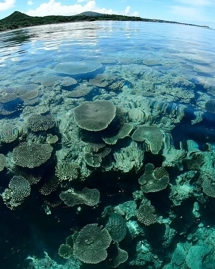 3-5月去冲绳旅游‼姐妹们一定要听劝