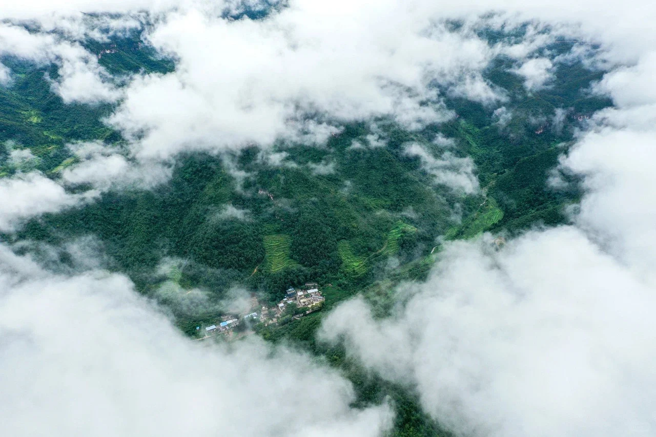 河南TOP1！来到这里的都结了婚