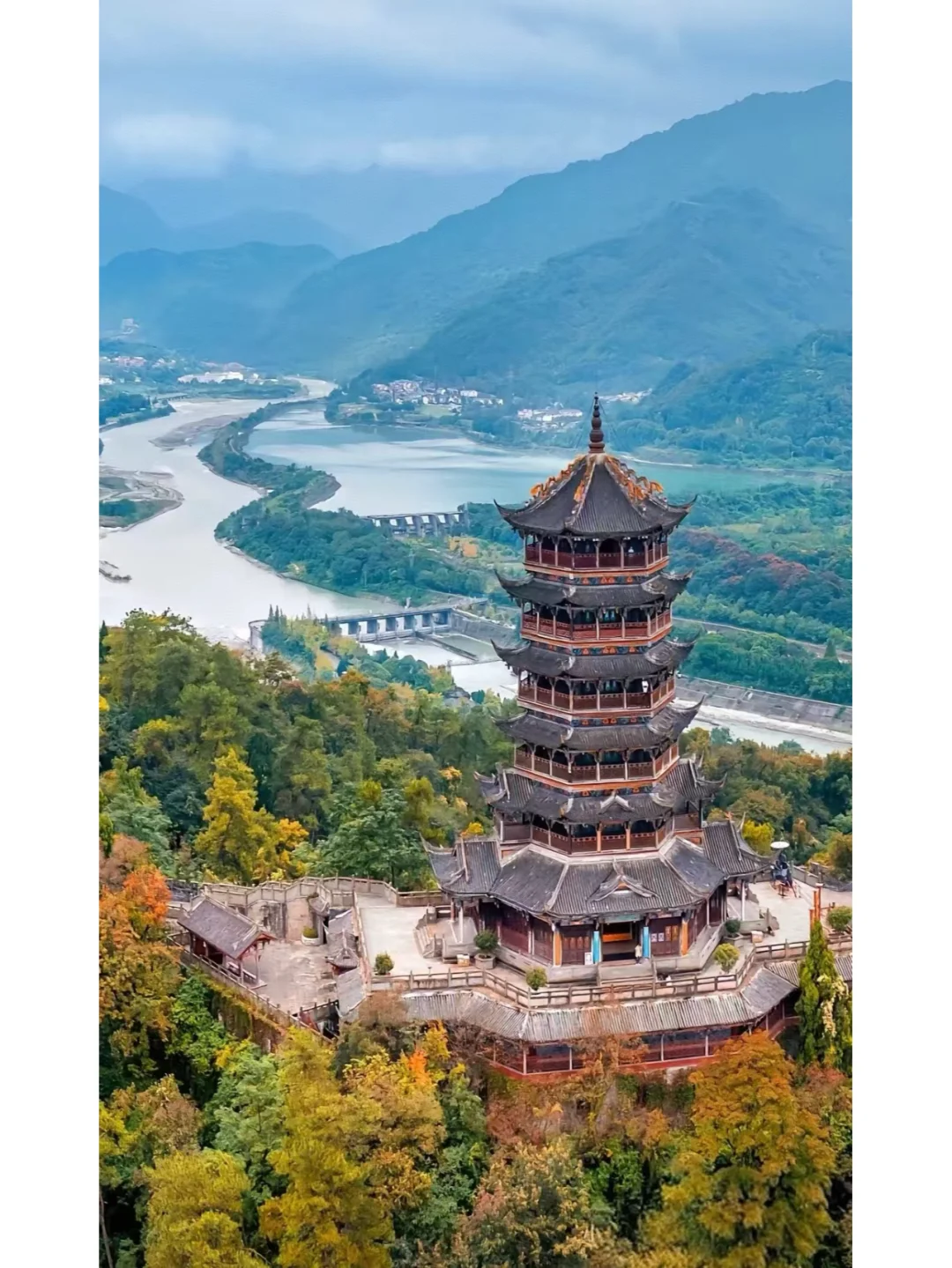 闯入熊猫谷🐼仙境，吸氧+吸猫全满足！