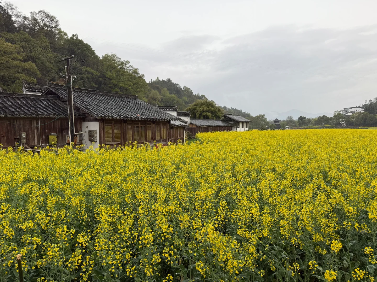 自驾婺源 景区都基本无人