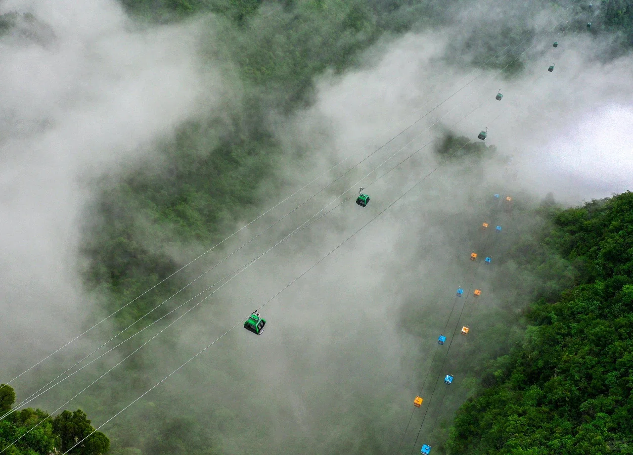 河南TOP1！来到这里的都结了婚