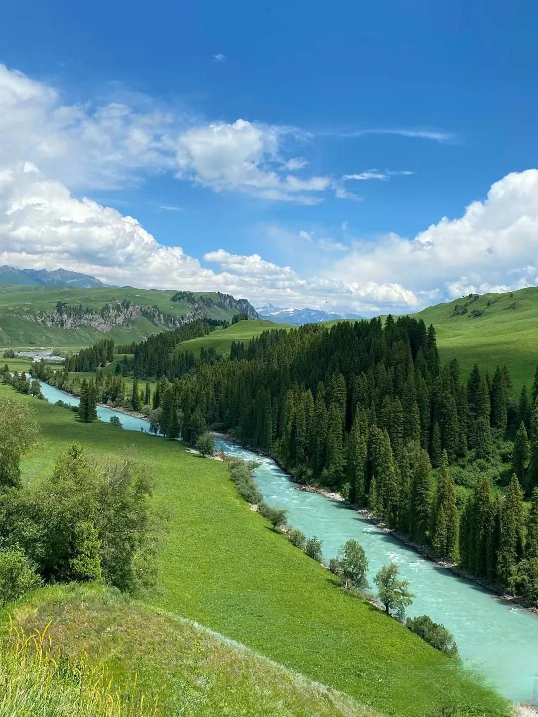 选一个好的旅行社真的很重要