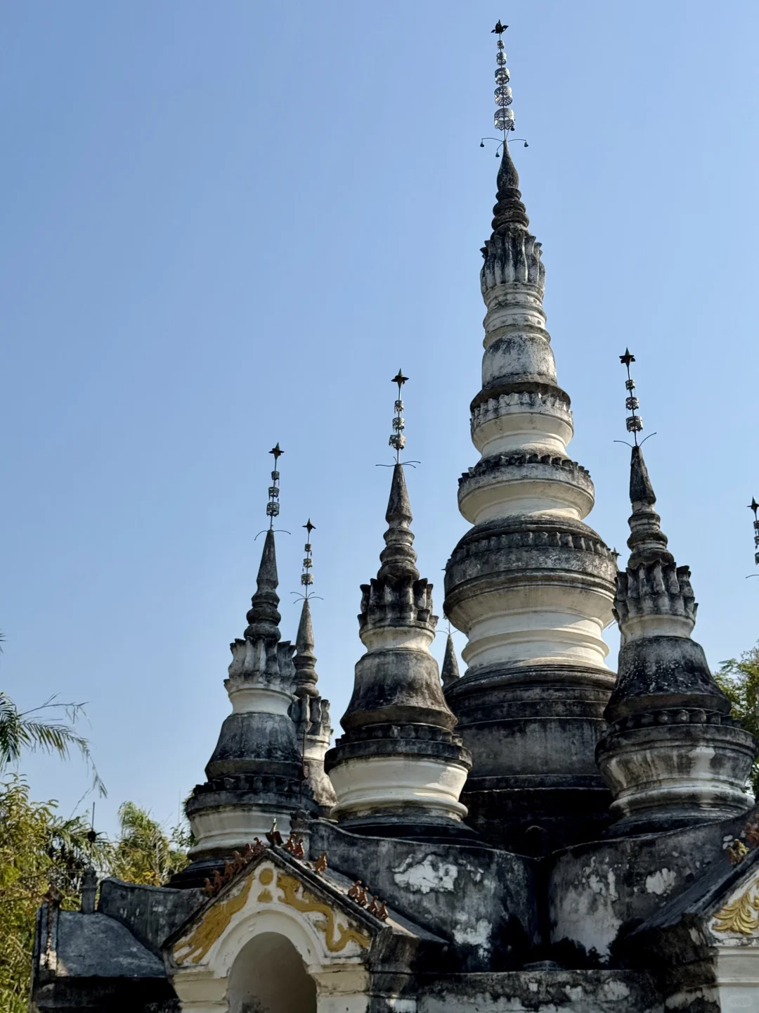 版纳绝美景点🌴超出片📸｜多种玩法（附地图）