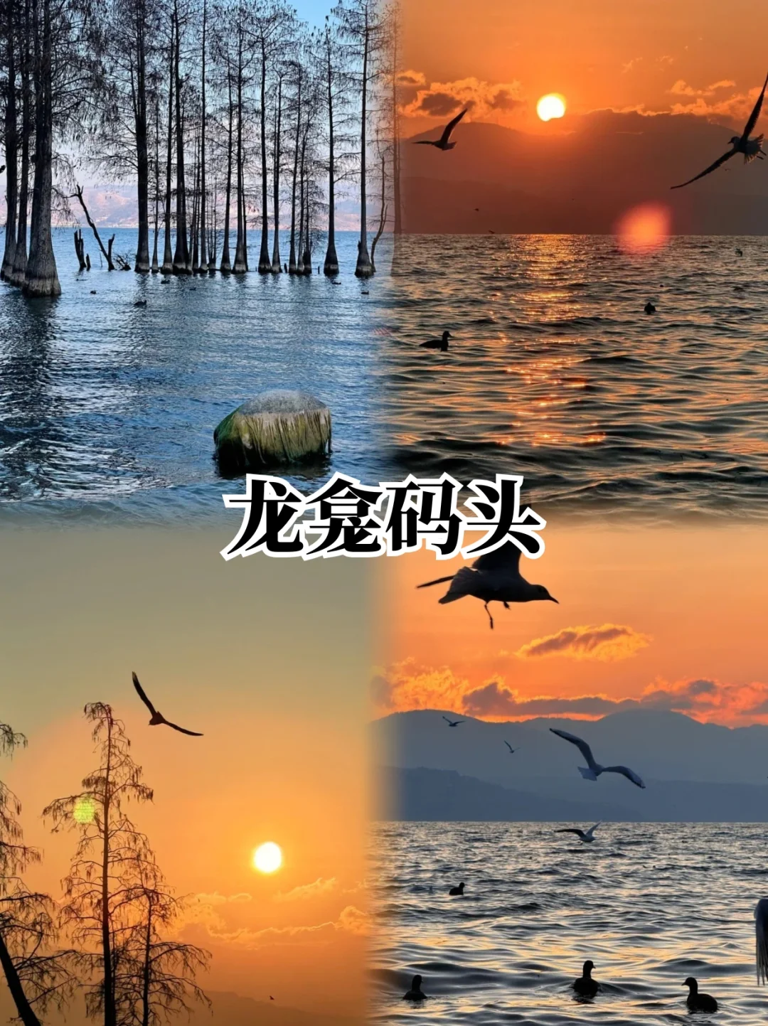 📍大理两天一夜懒人版逛吃攻略