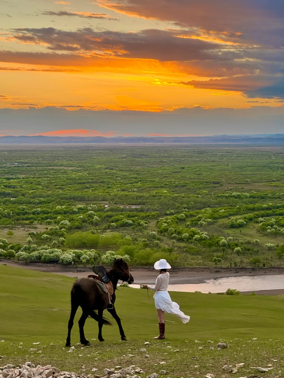 Live图的意义🍃初夏的呼伦贝尔才是人间理想
