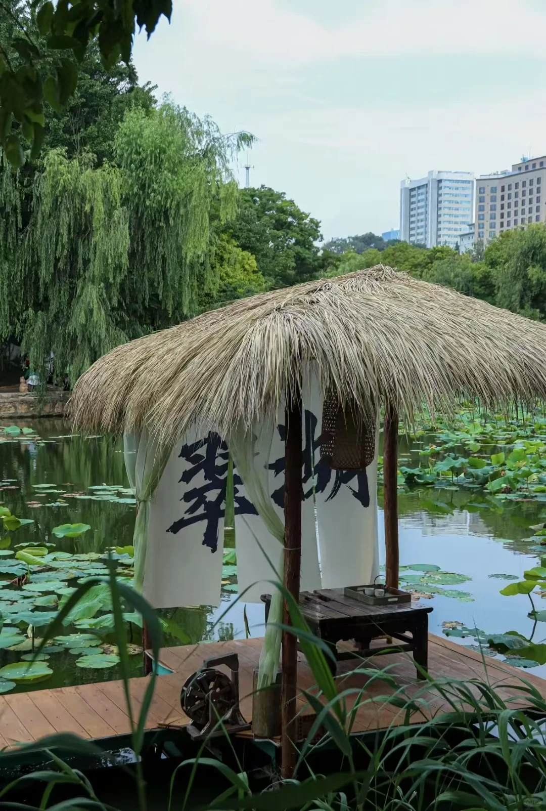 旅游特价游，想出游的来聊