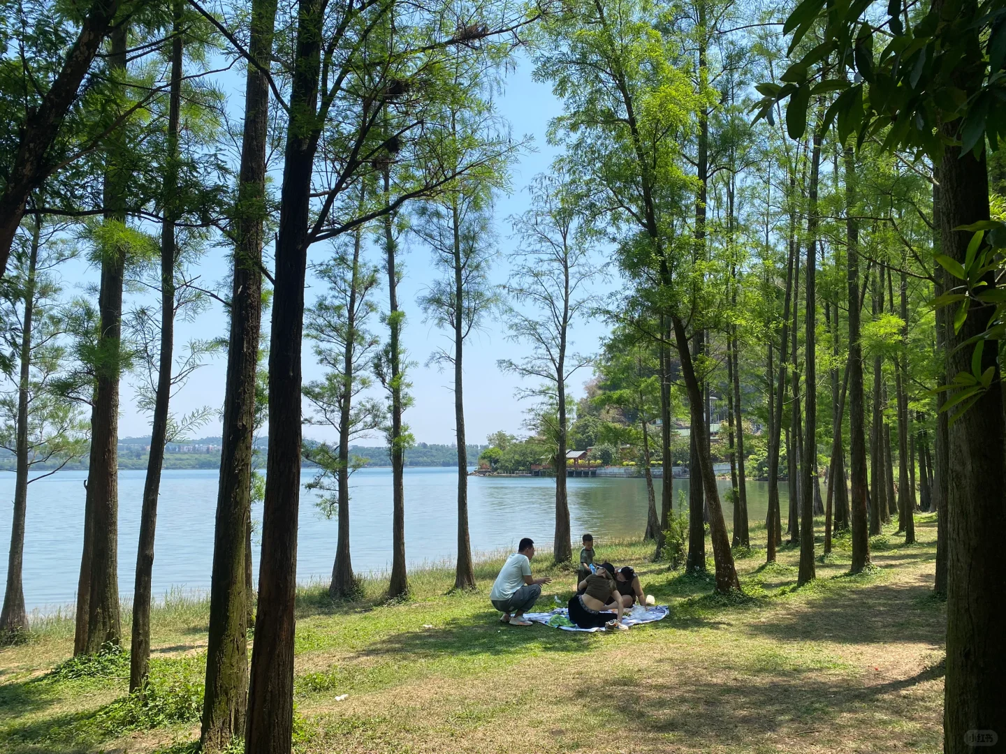湛江湖光岩最全旅游攻略，还有免费门票