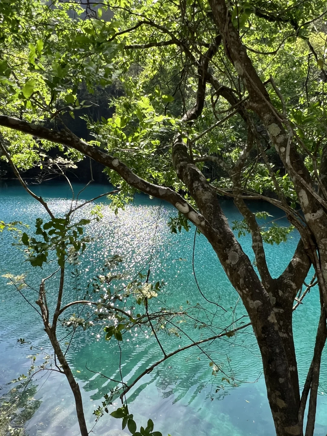 荔波小七孔🫧🫧详细攻略看这篇‼️