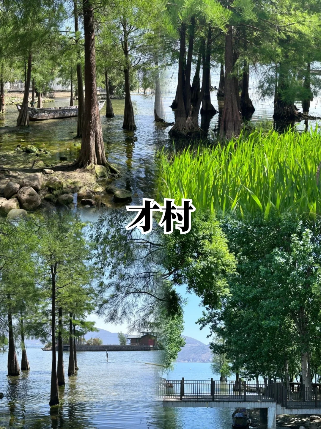 📍大理两天一夜懒人版逛吃攻略