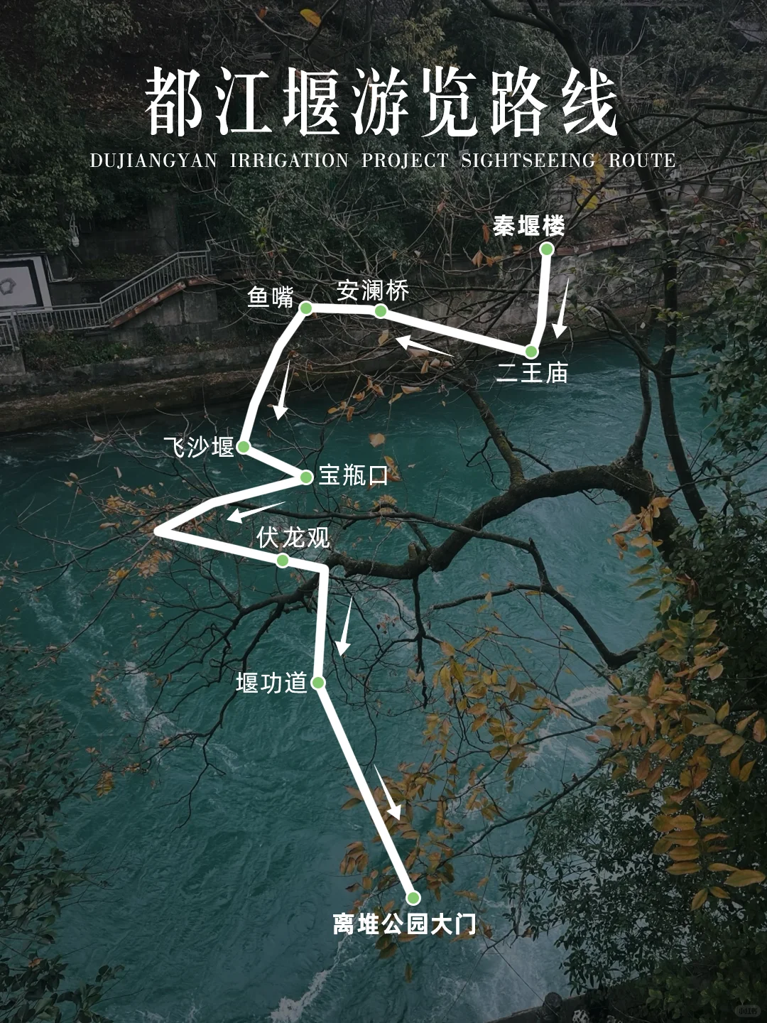 闯入熊猫谷🐼仙境，吸氧+吸猫全满足！