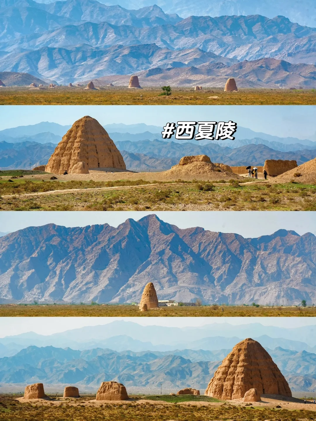 🌟银川+中卫5天4夜沙漠之旅攻略🏜️
