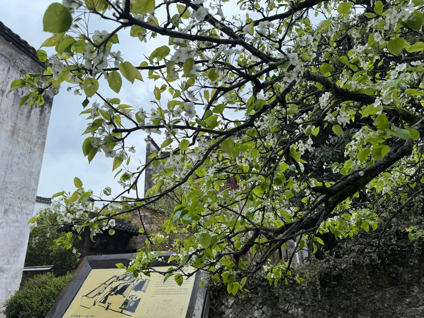 自驾婺源 景区都基本无人