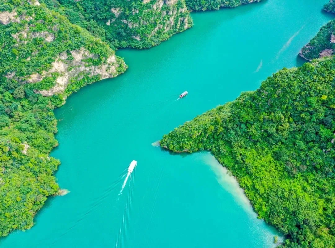 河南TOP1！来到这里的都结了婚