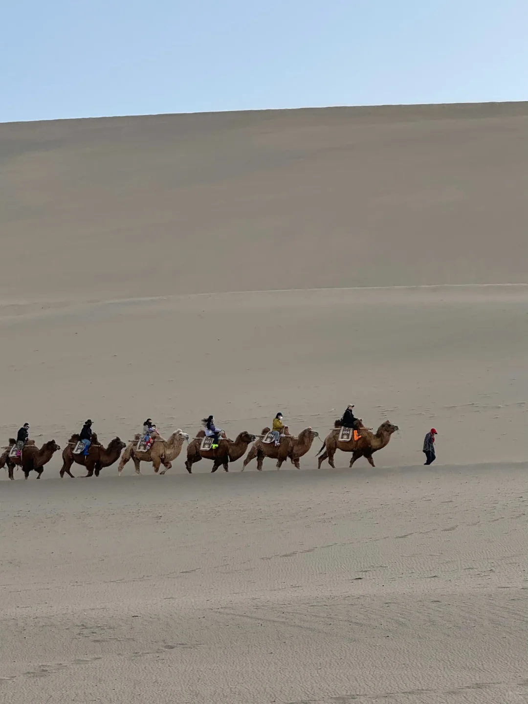 敦煌游玩已回，真心建议4-5月去，因为。。。