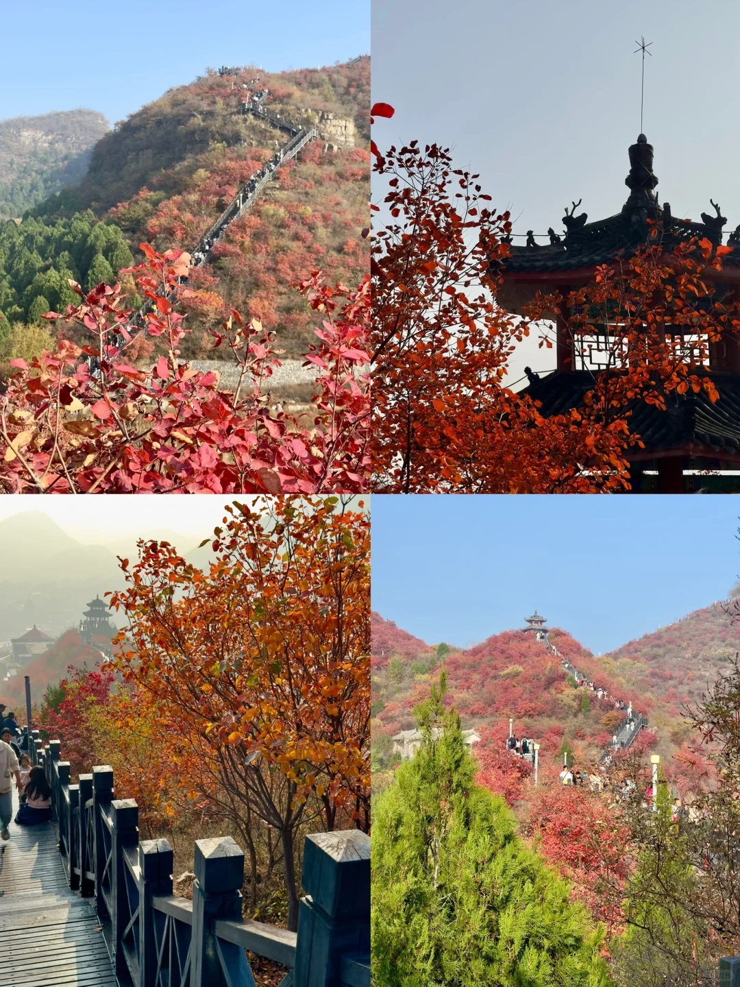 这样玩深秋的易县绝了！