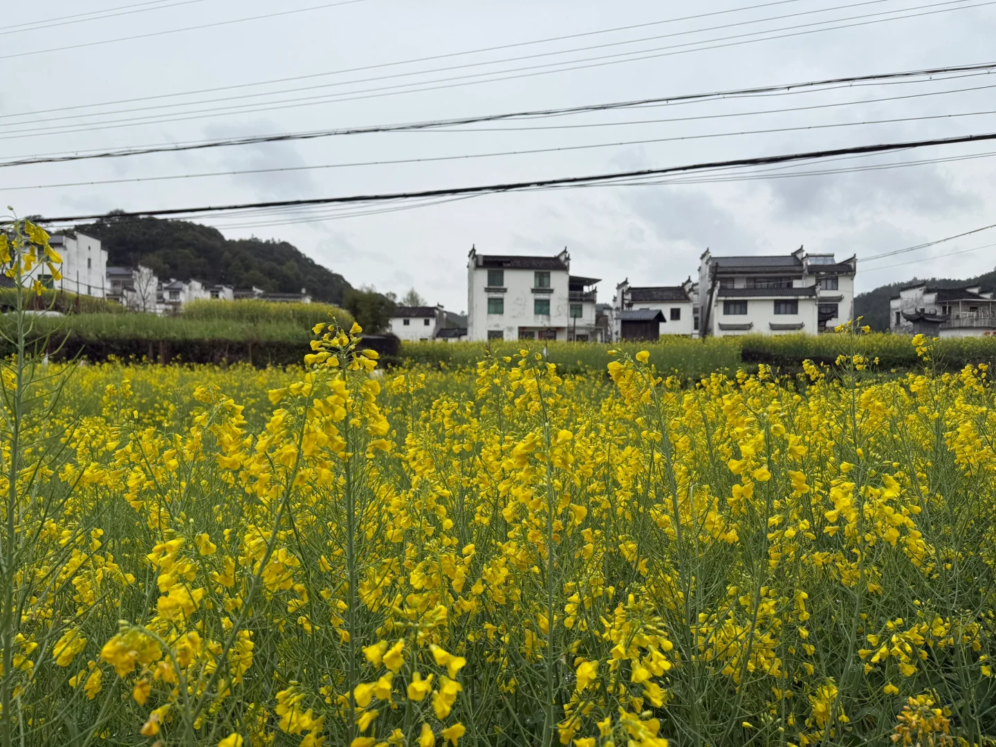 自驾婺源 景区都基本无人