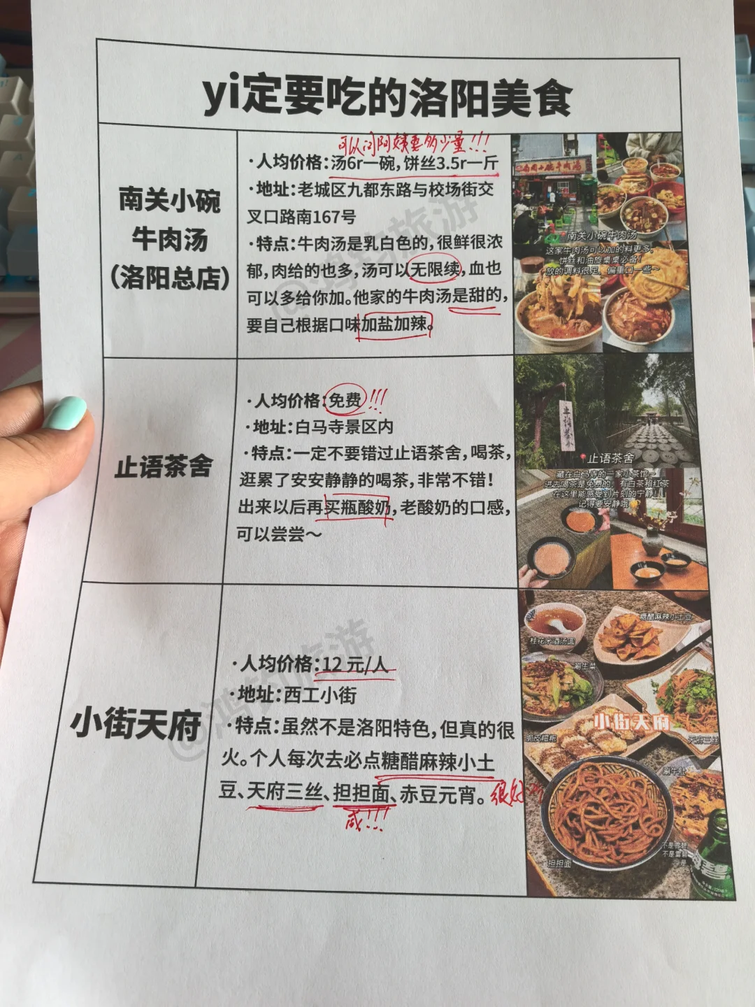 谁懂！终于有人把洛阳景点预🈷说清楚了