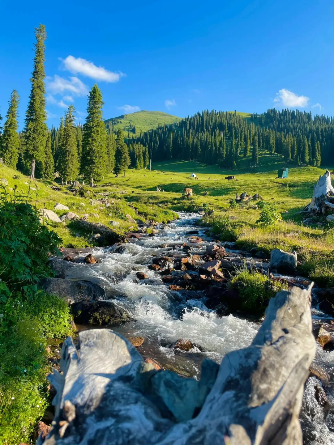 关于五一去新疆旅游的，过来人只想说...😓