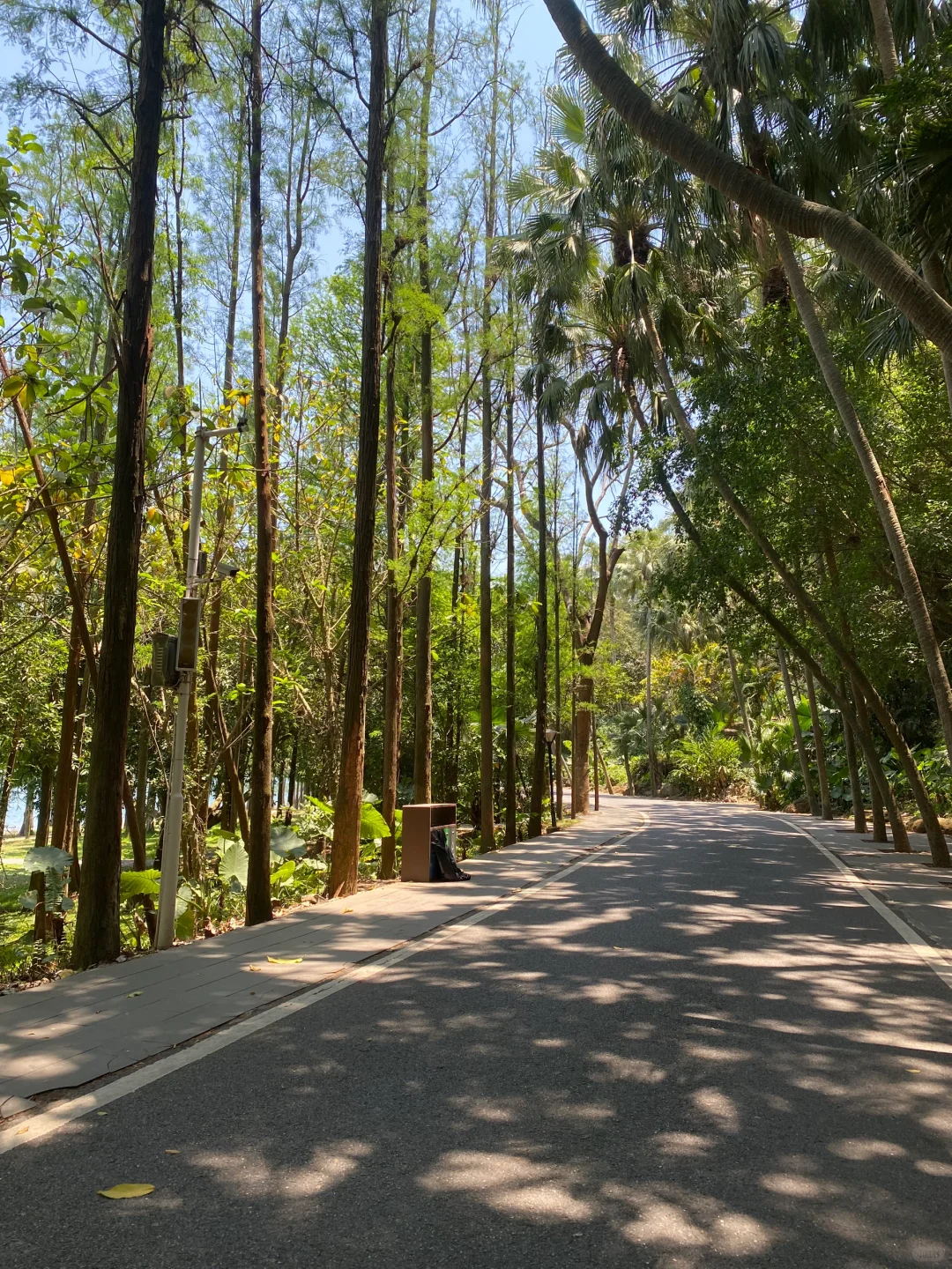 湛江湖光岩最全旅游攻略，还有免费门票