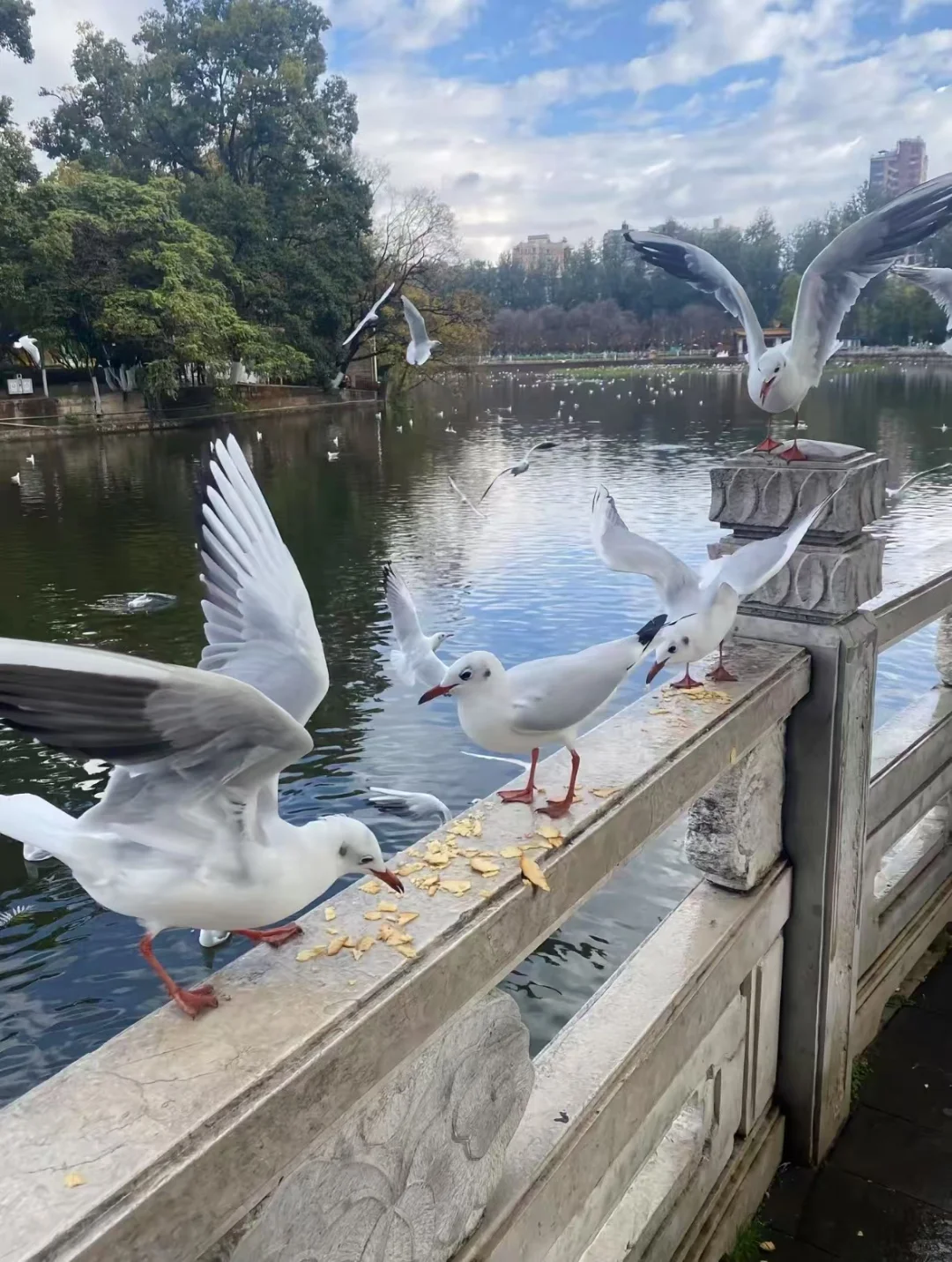旅游特价游，想出游的来聊
