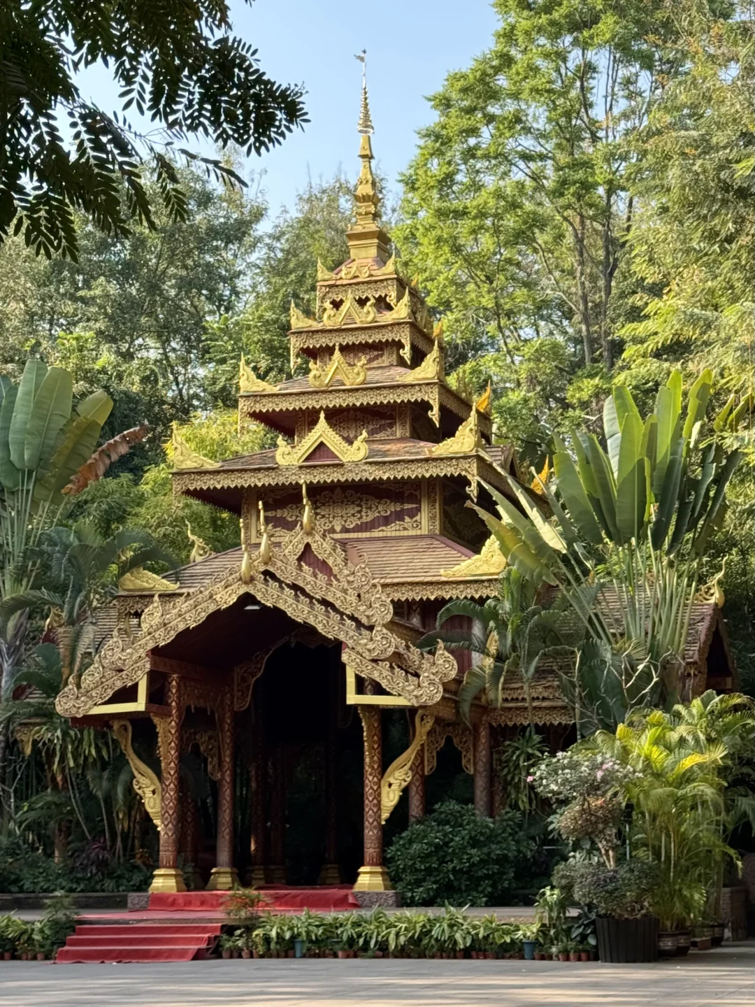 版纳绝美景点🌴超出片📸｜多种玩法（附地图）