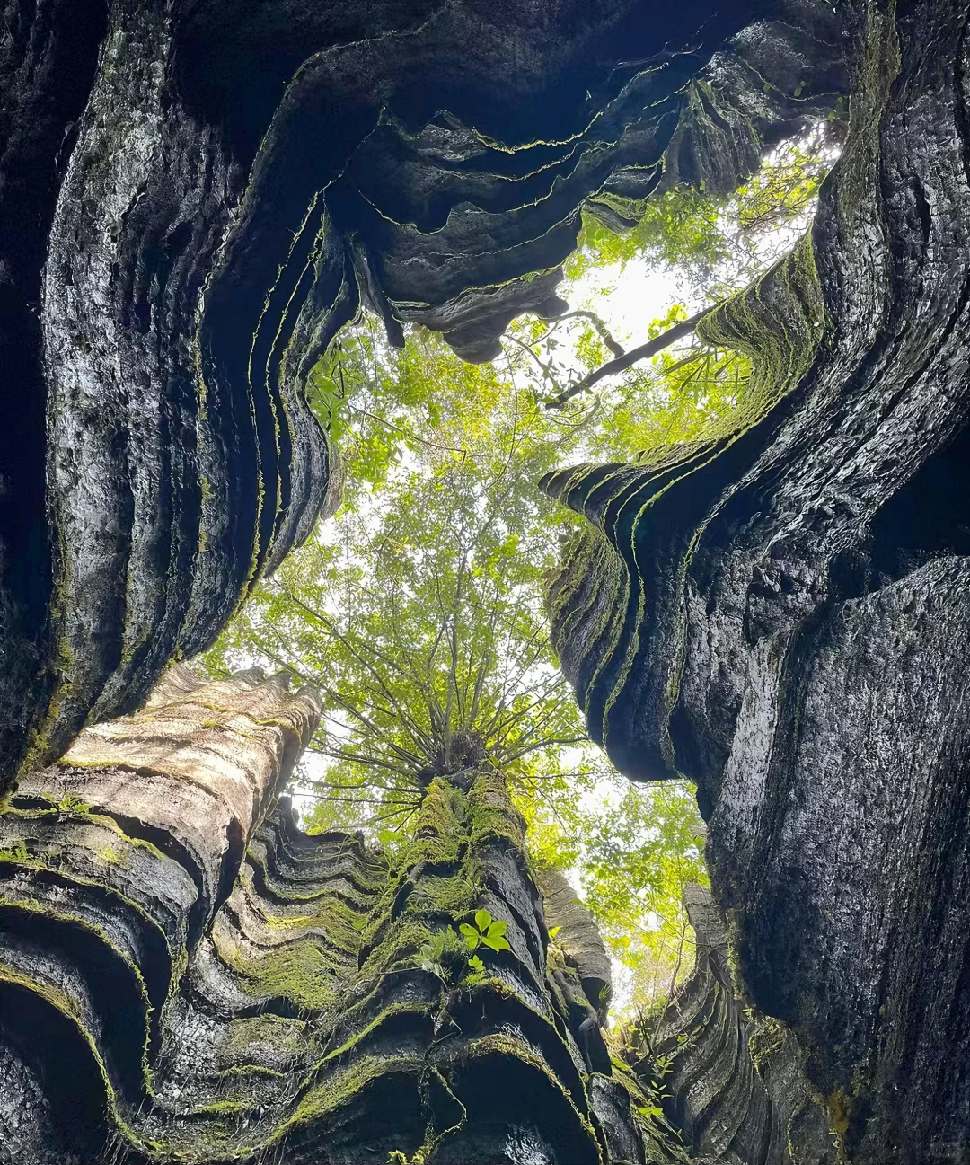 大学生暑假旅行｜恩施三天两夜（避坑）