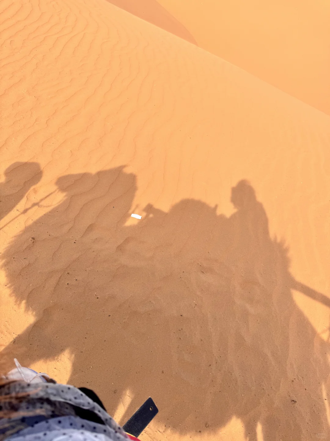 在中卫：大漠黄沙 戈壁孤烟的荒凉具像化了