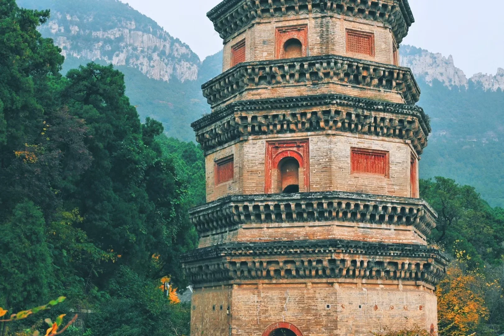 福建武夷山拍到了红楼梦里的塔