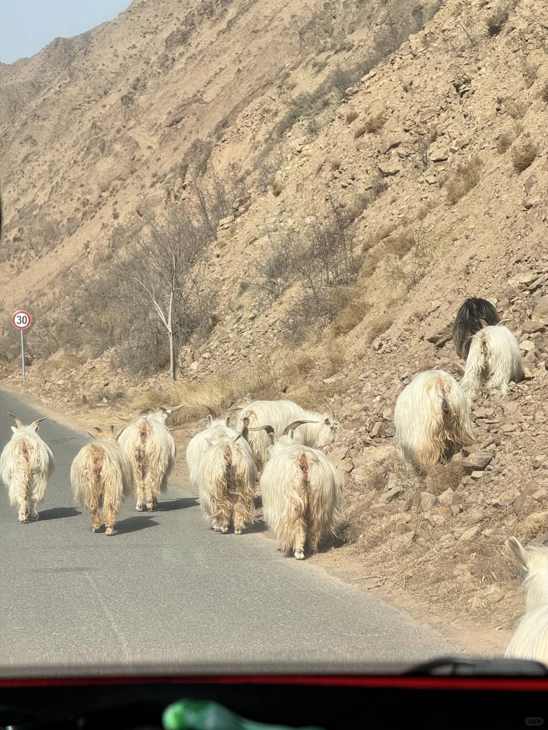 在中卫：大漠黄沙 戈壁孤烟的荒凉具像化了