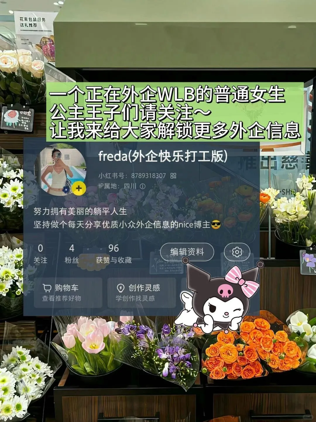 金三银四 真心建议大家大胆投旅游外企