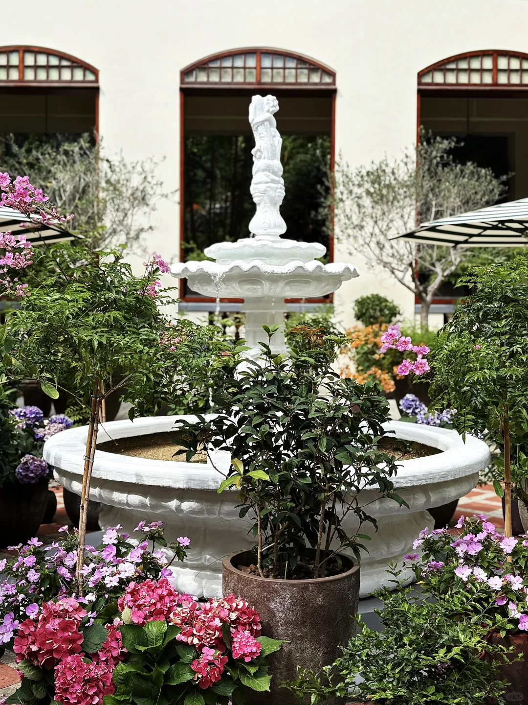 属于香港的浪漫🇭🇰🫧🥰