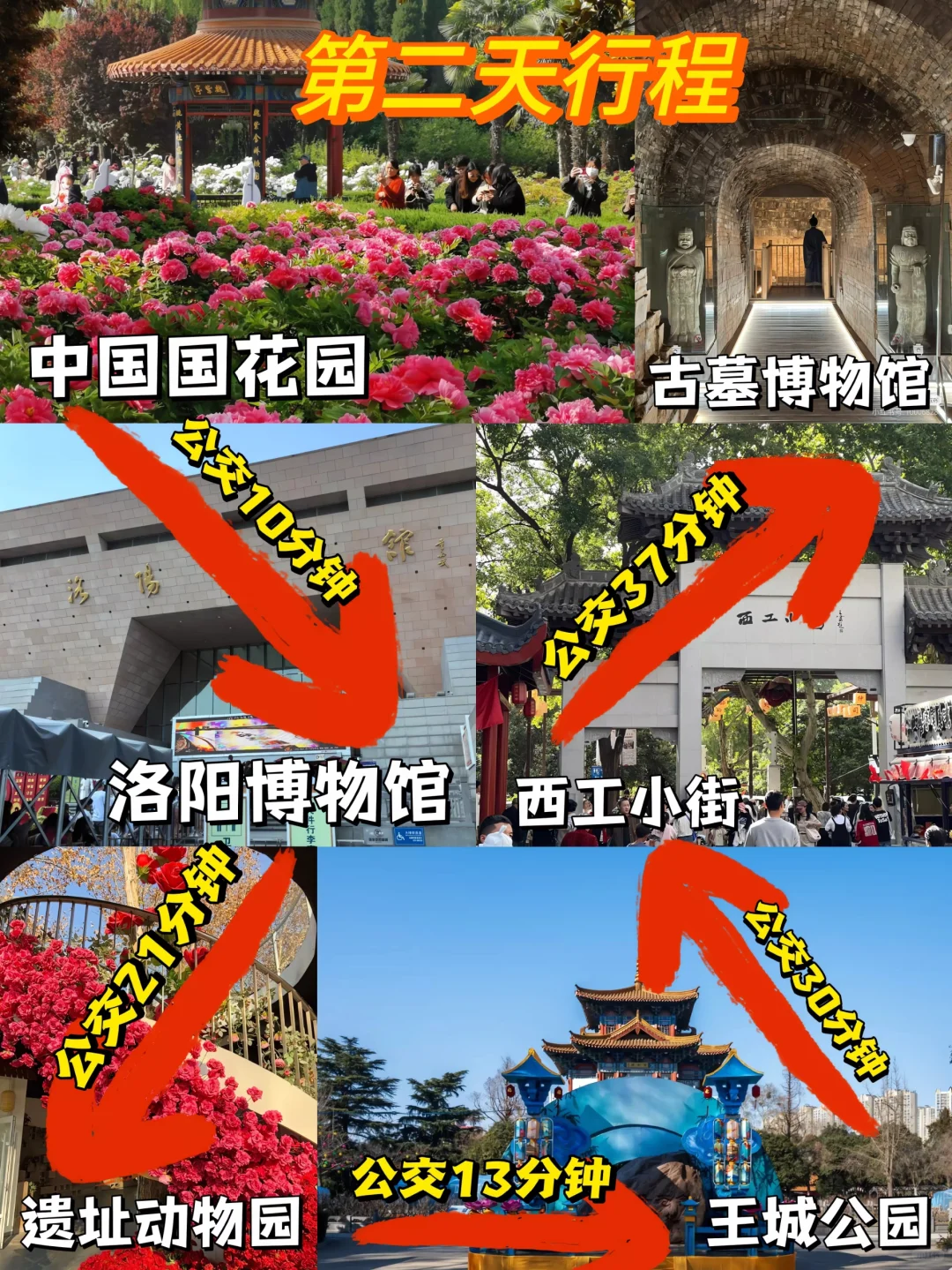 04女大穷游洛阳📍四天｜真实旅游分享✌️