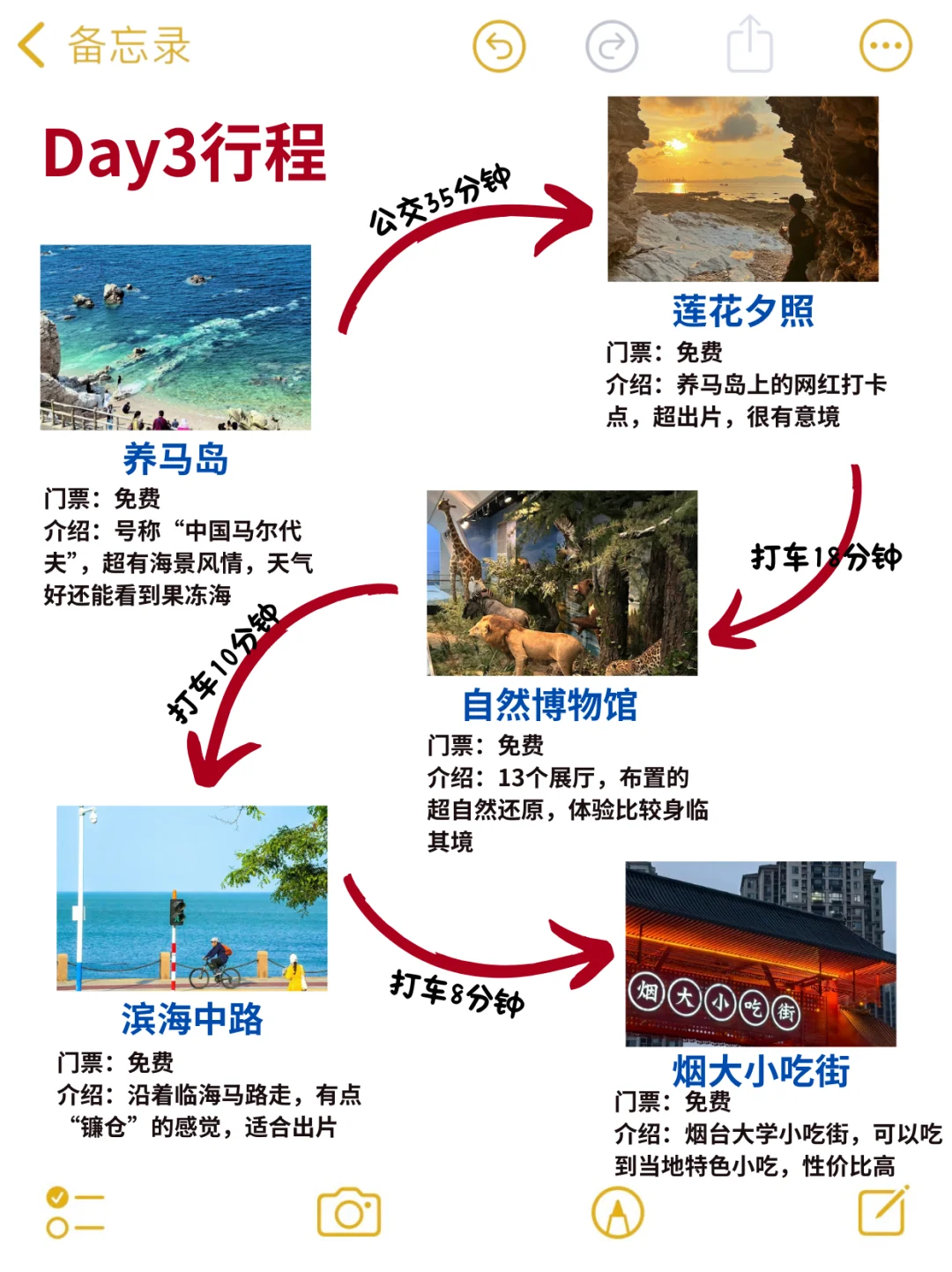 终于有人把烟台旅游说清楚了！无脑抄作业✅