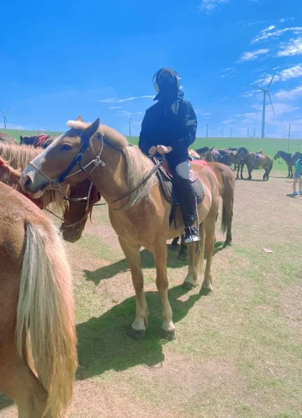 📍五一呼和浩特反向旅游，听我的❗❗