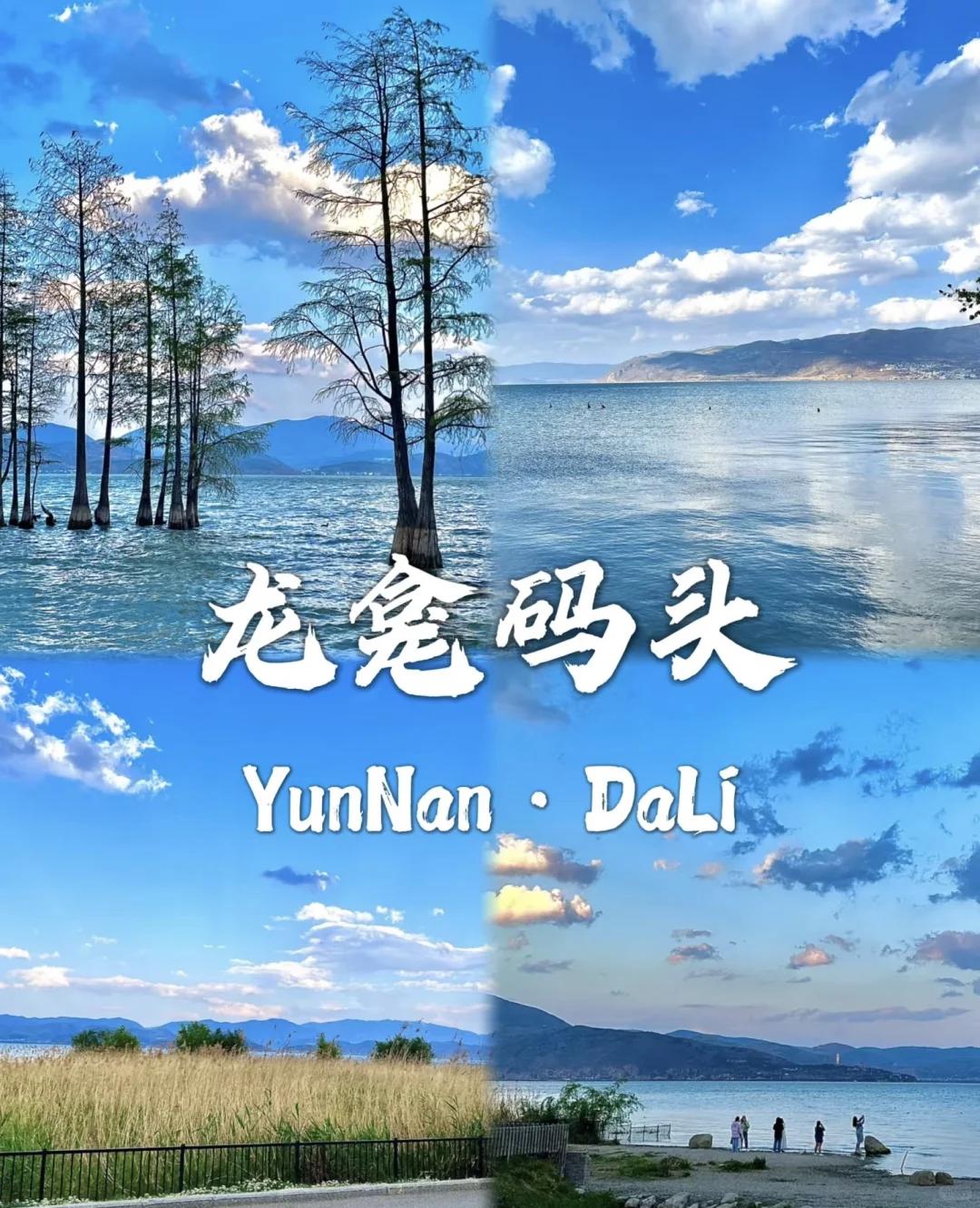 去过有风的地方大理洱海🌊