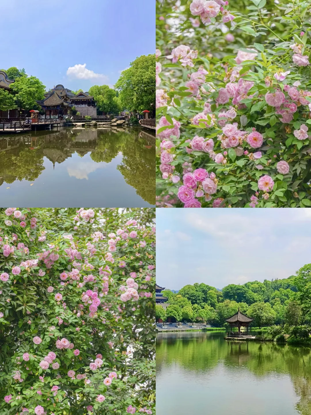 周末放空指南丨璧山一日游懒人攻略