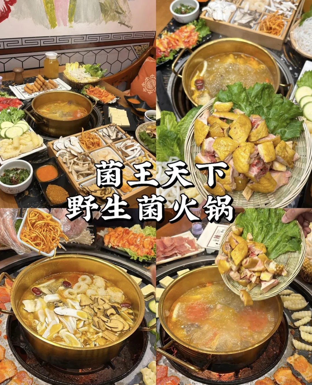 去过有风的地方大理洱海🌊