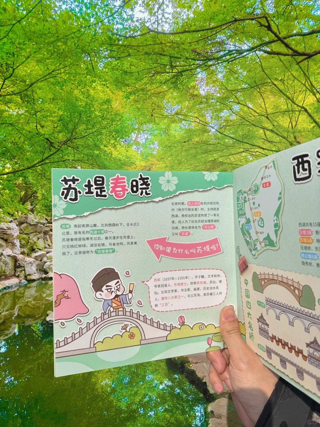 在西湖被追着问的研学手册，孩子太喜欢了❗️