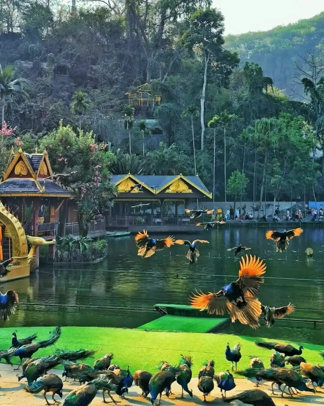 📍西双版纳｜西双版纳必去 9 大景点👍