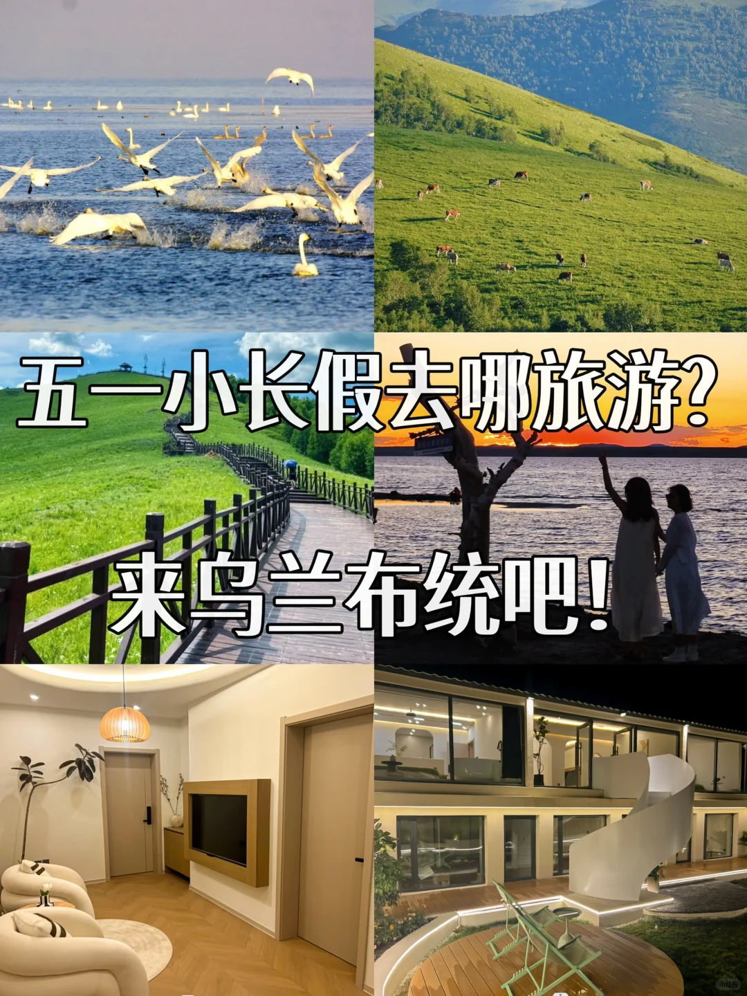 🌱五一去哪旅游❓来乌兰布统吧‼️