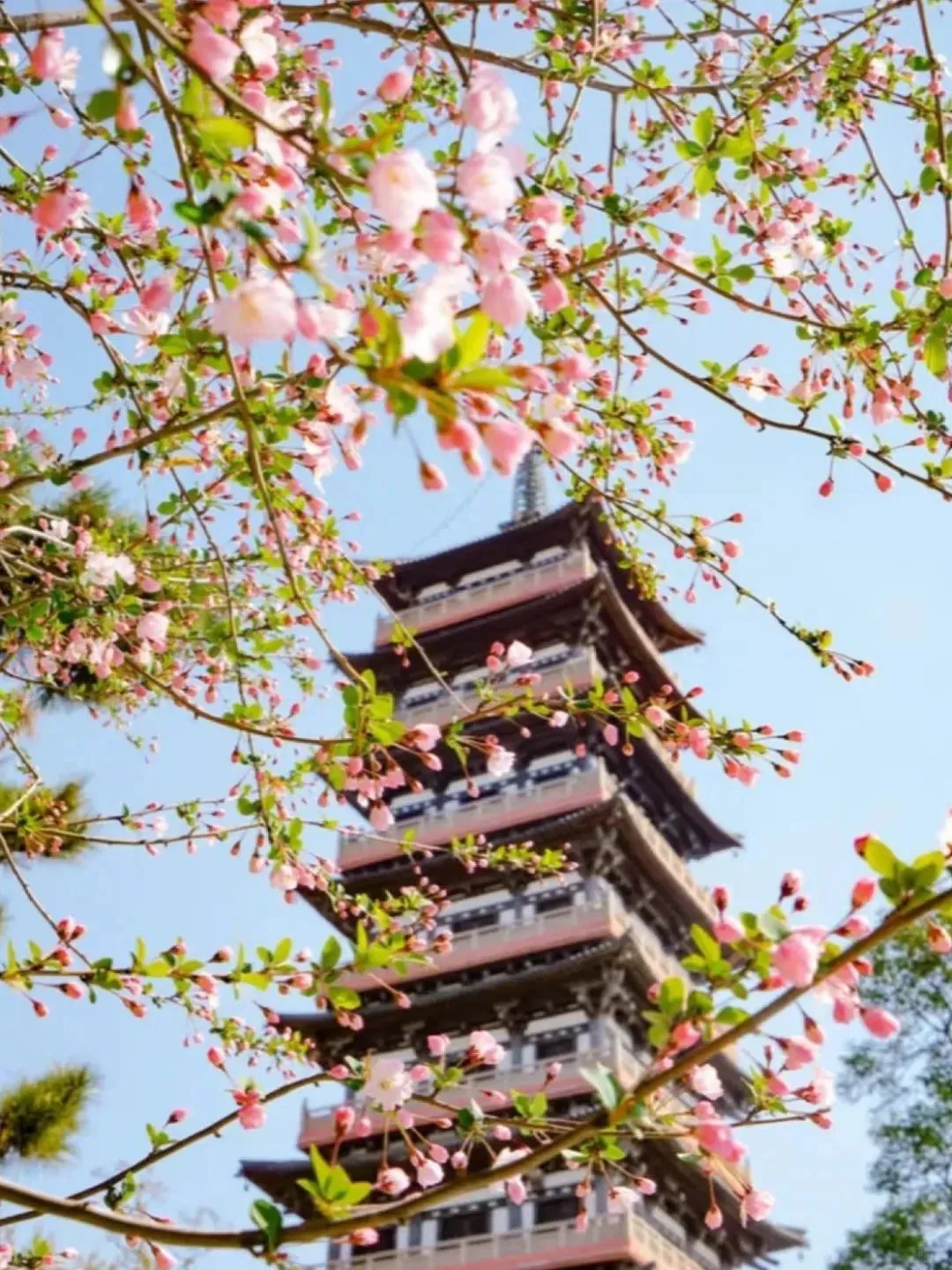 腰缠十万贯，骑鹤上扬州。