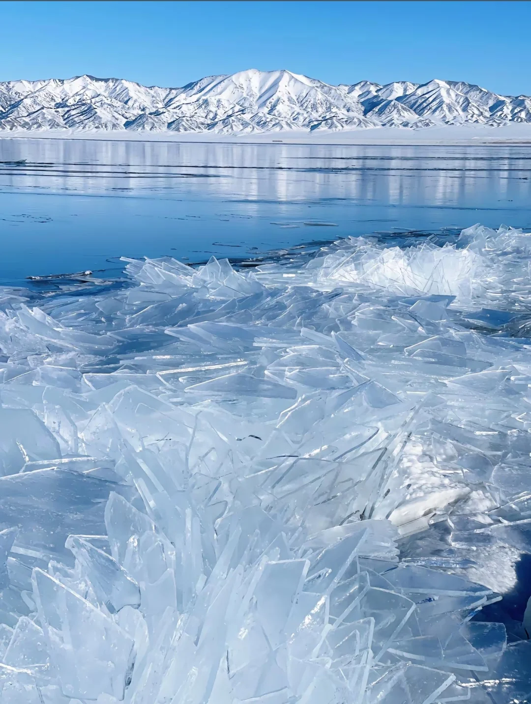永远为山海着迷🌊