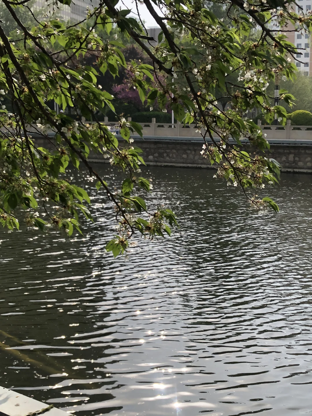 五一假期去石家庄📍保姆级攻略来啦